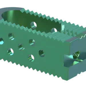 PLIF Cage Lumbar